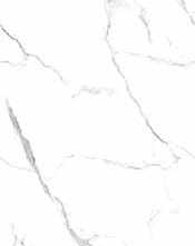 Керамогранит Statuario Wonderful белый Полированный 60x120 от Ceradim (Индия)