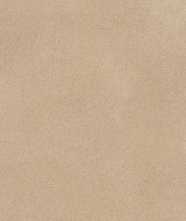 Керамогранит NAMIB CAMEL MATT-PRO R (RC20) 60x120 от Refin (Италия)