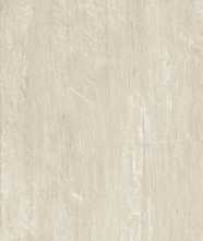 Керамогранит FOYER PREMIERE NAT.RET.(136943) 60x120 от Naxos Ceramica (Италия)