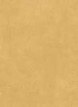 Керамогранит Scs Spectra Mustard Gv 120x278x0.6 от Simpolo (Индия)