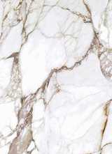Керамогранит Calacatta Rose 120x278x0.6 от Simpolo (Индия)