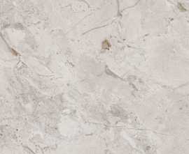 Керамогранит Karnis Silver Levigato (93530) 60x60 от Cerdomus (Италия)