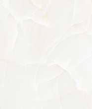 Керамогранит Onyx Predo (NTT99504P) 60x120 от NT Ceramic (Индия)