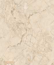 Керамогранит MARMO Ivory Endless (NTT99515M) 60x120 от NT Ceramic (Индия)