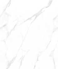 Керамогранит MARMO Statuario Endless (NTT99506P) 60x120 от NT Ceramic (Индия)
