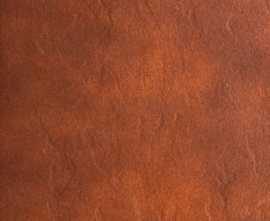 Клинкер Albany Teka 25x25 от Gres de Aragon (Испания)