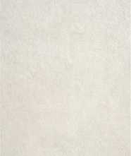 Керамогранит P.E. Pursue pearl mt rect. 60x120 от STN Ceramica (Stylnul) (Испания)