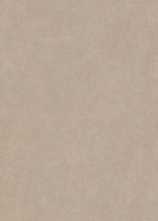 Керамогранит FANGO RESIN NAT/RET (5974) 120x280 от Piemme Ceramiche (Valentino) (Италия)