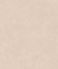 Керамогранит MALTA  RESIN NAT/RET (05956-S) 60x120 от Piemme Ceramiche (Valentino) (Италия)