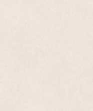 Керамогранит CALCE RESIN NAT/RET (05955-S) 60x120 от Piemme Ceramiche (Valentino) (Италия)