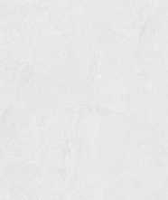 Керамогранит Mainstream White M.P. 60x120 от Cayyenne (китай)