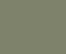 Керамогранит Plytka gresowa Cielo e Terra Verde MAT Gat.1 59.8 59.8x59.8x0.8 от Tubadzin (Польша)