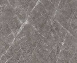 Слэб керамический TUNDRA GRIS LUMINOUS (HG) 120x120 от StaroSlabs (Индия)