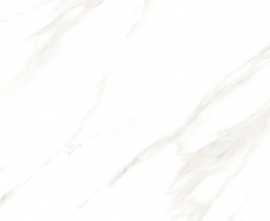 Керамогранит CARRARA PEARL matt (ETMAR1210MT6060) 60x60 от Eternal (Индия)