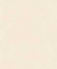 Керамогрнаит MELTON IVORY GHR PUNCH MATT 80x160x0.9 от Gravita (Индия)