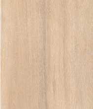 Керамогранит FORESTA Amazon Wood Beige Matt 60x120 от Staro (Индия)