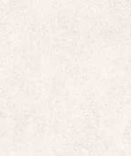 Керамогранит STALE WHITE ADZ REC 60x120 от TAU Ceramica (Испания)