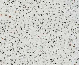 Керамогранит Terrazzo Grigio 60x60 от Pamesa (Испания)