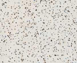 Керамогранит Terrazzo Blu 60x60 от Pamesa (Испания)