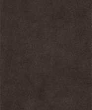 Керамогранит SENSI TERRE GRANA CARBONE GRIP RET (781494) 60x120 от Casa Dolce Casa  (Италия)