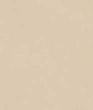 Керамогранит Design Colors Blossom Ivory Matt (N12042) 60x120 от Neodom (Индия)