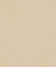Керамогранит Design Colors Blossom Cream Matt (N12038) 60x120 от Neodom (Индия)
