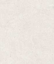 Керамогранит Stone Stonhenge Beige Matt (N40032) 60x120 от Neodom (Индия)