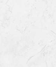 Керамогранит Classic Marble Carrara Antique Polished (N12033) 60x120 60x120 от Neodom (Индия)