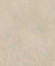 Керамогранит ESSENTIAL MOOD WARM POW 02 R11 PTV 9mm R (779607) 60x120 от Casa Dolce Casa  (Италия)