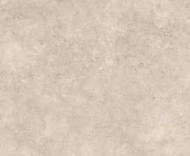 Керамогранит MYTHOLOGY SIMBIOS TAUPE NAT. RET (141218) 80x80 от Monocibec (Италия)