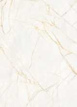 Керамогранит SUPREME HEDONISM GOLD SPIDER SF3 R (PF60017228) 120x280 от Flaviker (Италия)