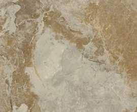 Керамогранит Bet Tomor (n129711) 60x60 от Gambini (Италия)