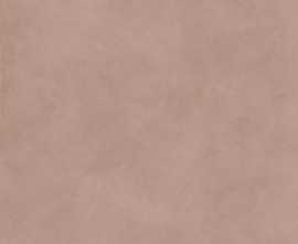 Керамогранит ALTER EGO BARK NAT R (PF60016452) 60x60 от ABK Ceramiche (Италия)