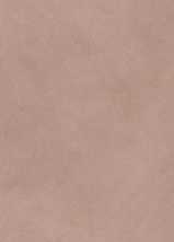 Керамогранит ALTER EGO BARK NAT R (PF60016998) 120x280 от ABK Ceramiche (Италия)