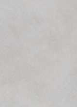 Керамогранит ALTER EGO ASH NAT R (PF60016997) 120x280 от ABK Ceramiche (Италия)