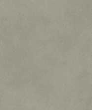 Керамогранит ALTER EGO MUD NAT R (PF60016436) 60x120 от ABK Ceramiche (Италия)