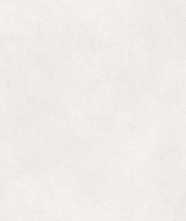 Керамогранит ALTER EGO MILK NAT R (PF60016428) 60x120 от ABK Ceramiche (Италия)