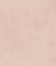 Керамогранит ALTER EGO CLAY NAT R (PF60016431) 60x120 от ABK Ceramiche (Италия)