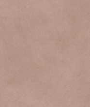 Керамогранит ALTER EGO BARK NAT R (PF60016432) 60x120 от ABK Ceramiche (Италия)