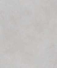 Керамогранит ALTER EGO ASH R11 R (PF60017144) 60x120 от ABK Ceramiche (Италия)