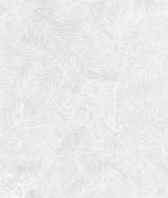 Керамогранит Dec.Moon white 3Dsoft 60x120 от Fanal (Испания)