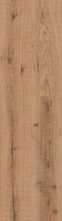 Керамогранит Forest Brown Matt матовая (F4502M) 20x120 от Buono (Индия)