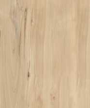 Керамогранит Forest Sweet Home Matt матовая (FVL4511M) 60x120 от Buono (Индия)