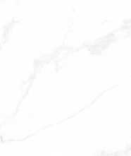 Керамогранит Marble Carrara Anita Mat матовая (M4403M) 60x120 от Buono (Индия)