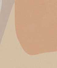 Керамогранит HBE Bioterre SHAPES ARGILLA RETT. (GCBESHARGIR) 60x120 от Del Conca (Италия)