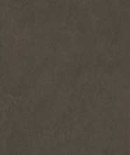 Керамогранит Sandstone Brown PRO коричневый матовый R10GR STR CB 120 60x120 от Laparet
