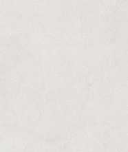 Керамогранит Sandstone Bianco PRO светло-серый матовый R10GR STR CB 120 60x120 от Laparet