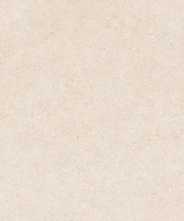 Керамогранит Cancun Sand L (100355130) 59.6x120 от Porcelanosa (Испания)