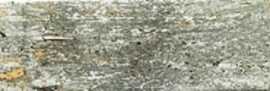 Керамогранит WOODLANDS GREEN (CV65227) 6.3x25.5 от Cevica (Испания)