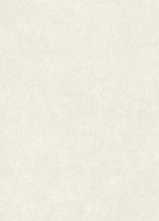Керамогранит KINFOLK KINSTONE CHALK RECT (A041202) 120x280 от APE Ceramica (Испания)